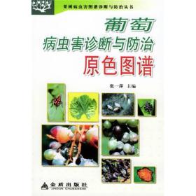 葡萄病虫害诊断与防治原色图谱·果树病虫害图谱诊断与防治丛书