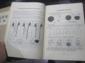 【Illustration of Department of Urology（原书）】+【泌尿外科学图解】【镇江医学院附属医院泌尿外科“秦剑影”中文手写翻译一本】【附三封信件】