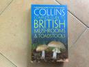 Collins Complete British Mushrooms and Toadstools蘑菇与毒菌图鉴