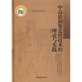 中高浓制浆造纸技术的理论与实践