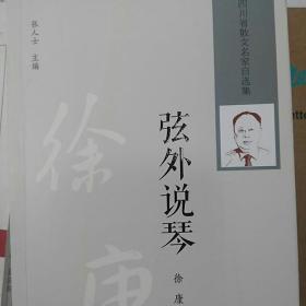 弦外说琴