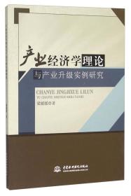 ★产业经济学理论与产业升级实例研究