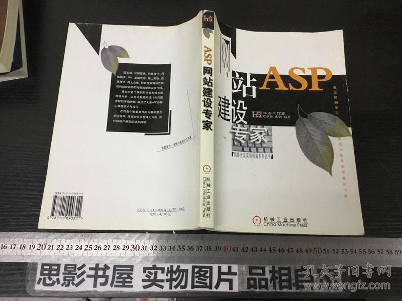 ASP网站建设专家