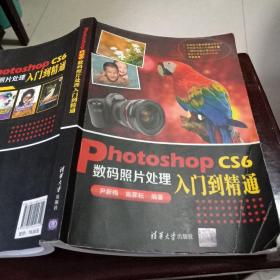 Photoshop CS6数码照片处理入门到精通