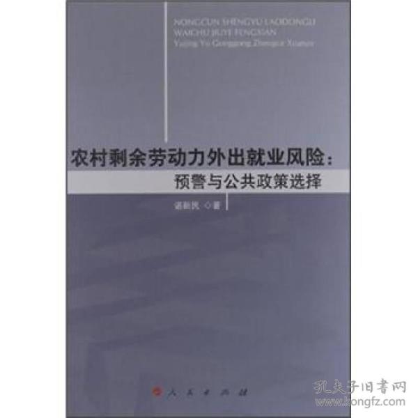 农村剩余劳动力外出就业风险：预警与公共政策选择