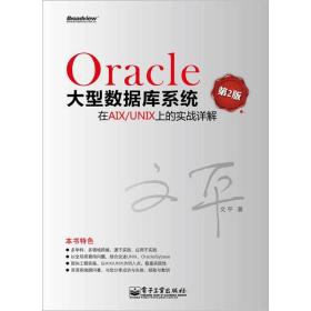 Oracle大型数据库系统在AIX/UNIX上的实战详解（第2版）