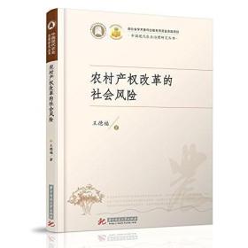 中国现代农业治理研究丛书：农村产权改革的社会风险