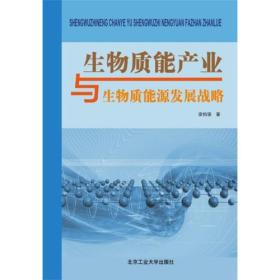 生物智能产业与生物智能源发展战略