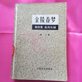 金陵春梦（第四集）血肉长城