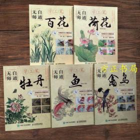 无师自通学工笔 禽鸟 鱼 百花 荷花 牡丹 国画入门技巧教材全五册