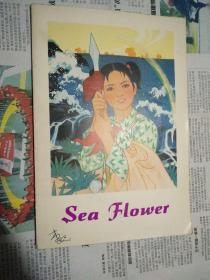 海花 SeaFlower