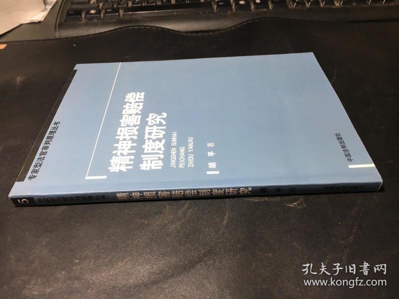 精神损害赔偿制度研究（专家型法官审判原理丛书）