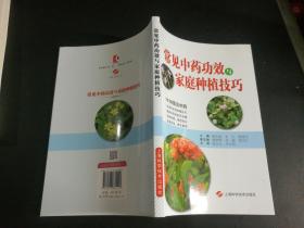 常用中药功效与家庭种植技巧