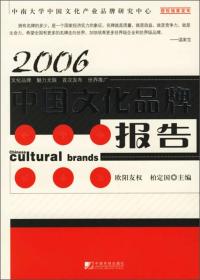 2006中国文化品牌报告