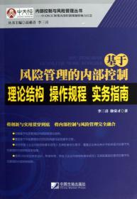 内部控制与风险管理丛书·基于风险管理的内部控制：理论结构、操作规程、实务指南