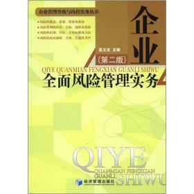 企业管理升级与内控实务丛书：企业全面风险管理实务（第2版）