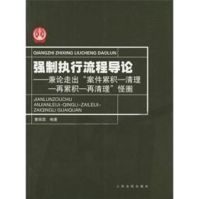 强制执行流程导论：兼论走出“案件累积、清理－再累积－再清理”怪圈