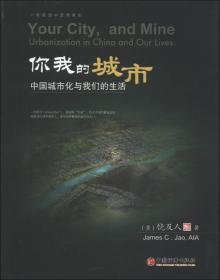 你我的城市：中国城市化与我们的生活