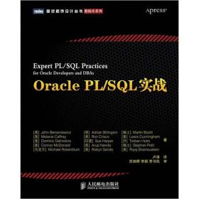 图灵程序设计丛书·数据库系列：Oracle PL/SQL实战