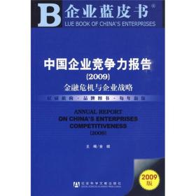 中国企业竞争力报告2009：金融危机与企业战略