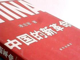 中国的新革命：1980-2006年，从中关村到中国社会