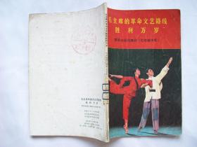 毛主席的革命文艺路线 胜利万岁 赞革命现代舞剧《红色娘子军》