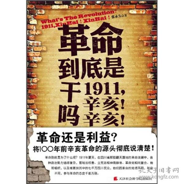 革命到底是干吗？：1911，辛亥！辛亥！