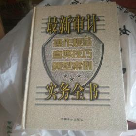 最新审计操作规范·查弊技巧·典型案例实务全书