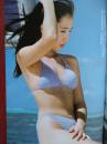 彩铜版内衣美女插页21