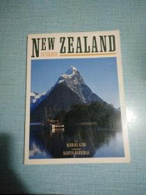 NEWZEALAND（新西兰）