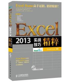 Excel2013实战技巧精粹