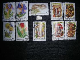 一页2套苏联邮票【有毒菌类5枚】、【苏联草原珍贵植物5枚】 全新盖销  请注意图片及说明，