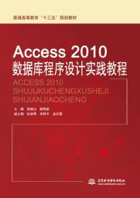 Access2010数据库程序设计实践教程