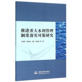 正版书 推进重大水利管理制度落实对策研究