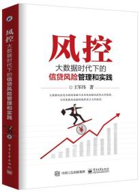 风控:大数据时代下的信贷风险管理和实践 王军伟 电子工业出版社 9787121319600