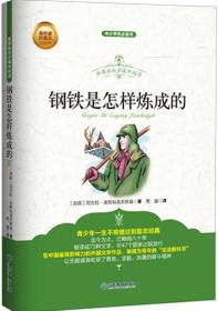 中小学新课标同步课外阅读：钢铁是怎样炼成的