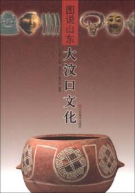 大汶口文化（16开平装 全1册）