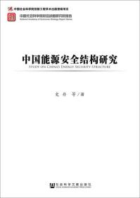 中国社会科学院财经战略研究院报告：中国能源安全结构研究