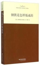 世界经典文学名家名译：钢铁是怎样炼成的