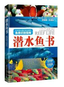 潜水鱼书：全球潜水爱好者追捧的鱼类识别指南