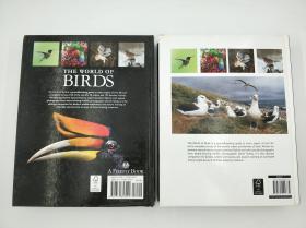 The World of Birds