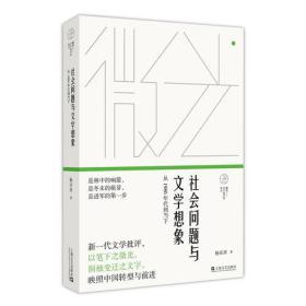 社会问题与文学想象——从1980年代到当下（微光——青年批评家集丛）