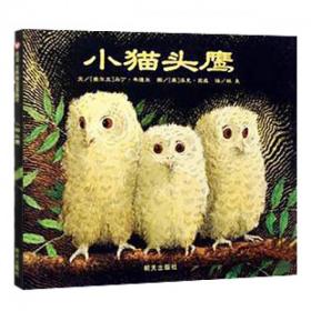 （引进精装绘本）信谊世界精选图画书*小猫头鹰
