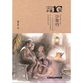 【以此标题为准】中国当代儿童文学小说十家 少年行