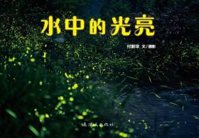水中的光亮 （正版新书）