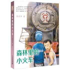 彭学军作品 男孩不哭组合 森林里的小火车(精装)