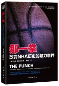 那一拳：改变NBA历史的暴力事件