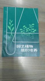 园艺植物组织培养  仓外