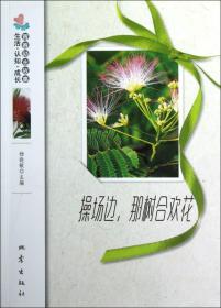 青春励志故事：操场边，那树合欢花