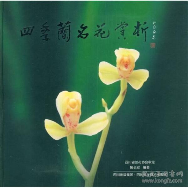 四季兰名花赏析（货号A5457）